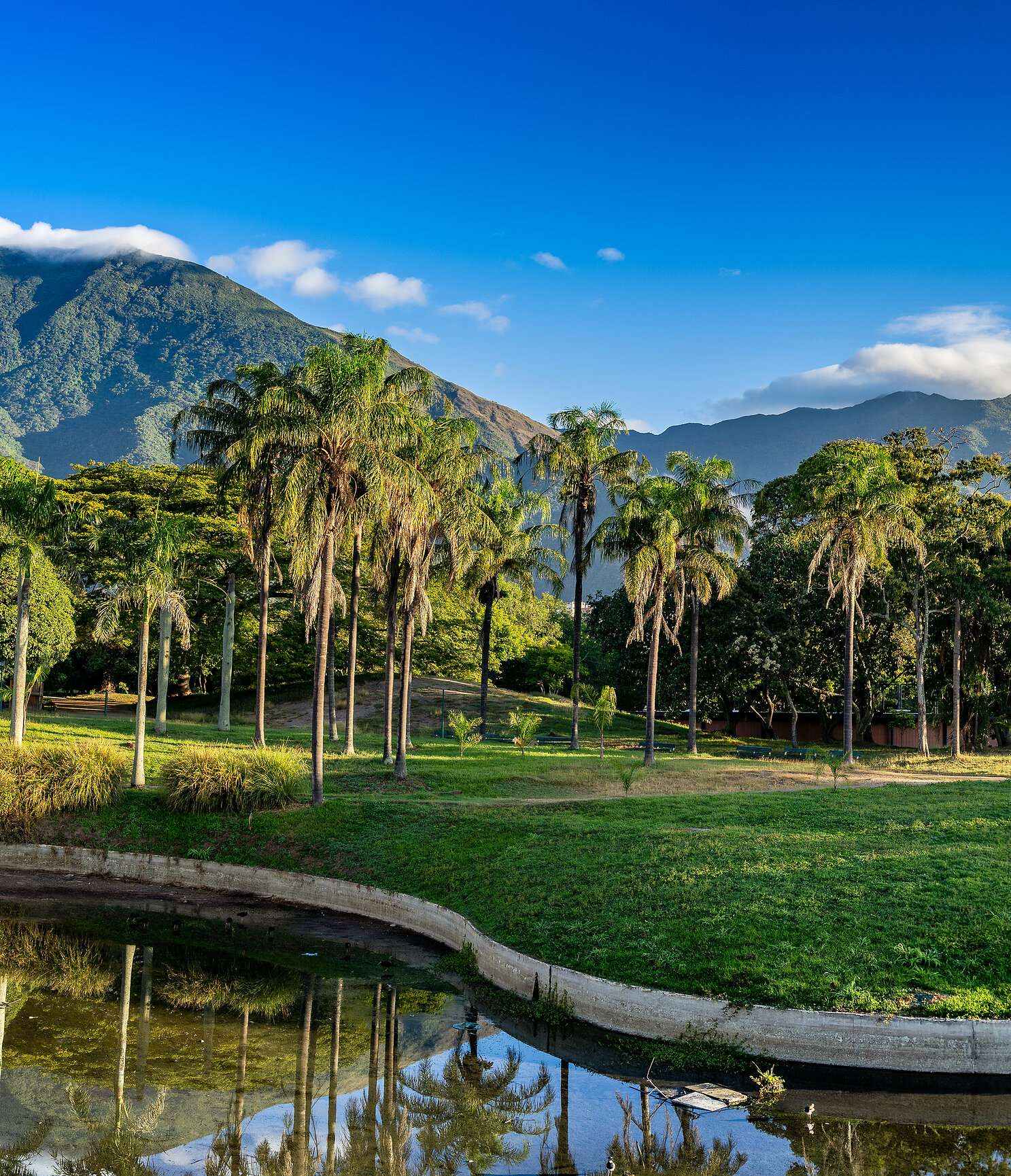 Palmeras y laguna en un parque de Caracas, con el Ávila de fondo
