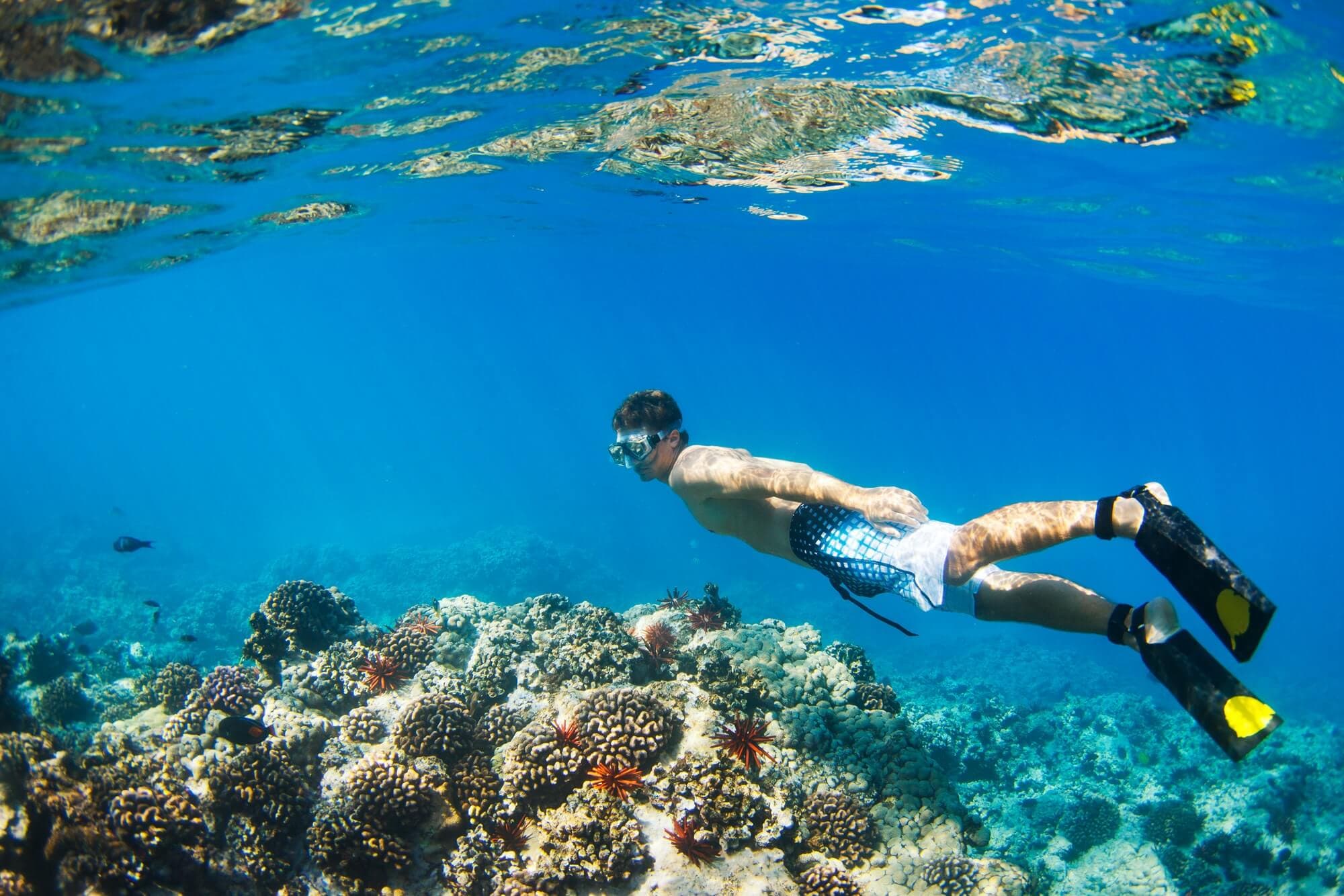 Buzo con snorkel sobre un arrecife de coral en Los Roques